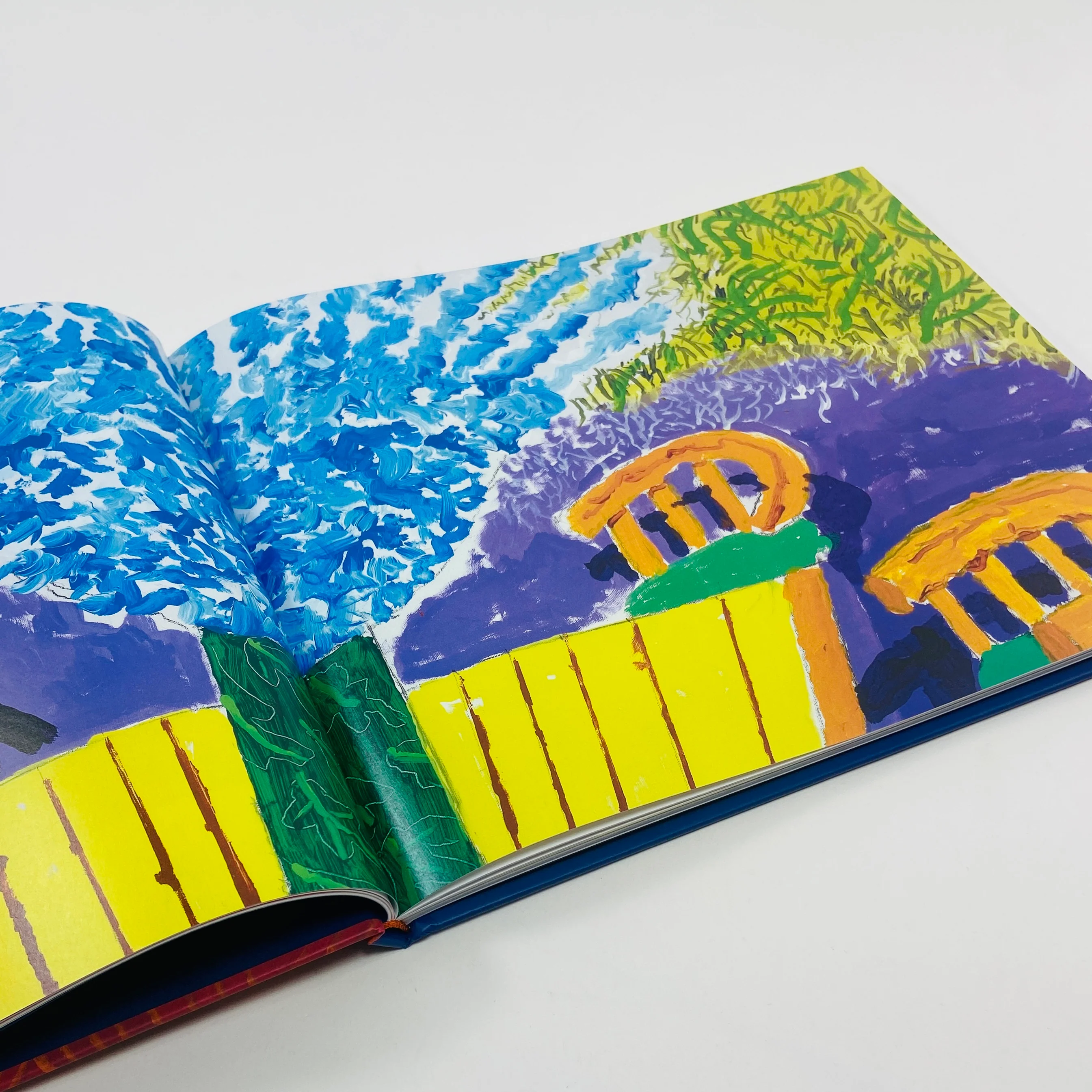 Some Very, Very Very New Paintings Not Yet Shown in Paris - David Hockney - Image 4