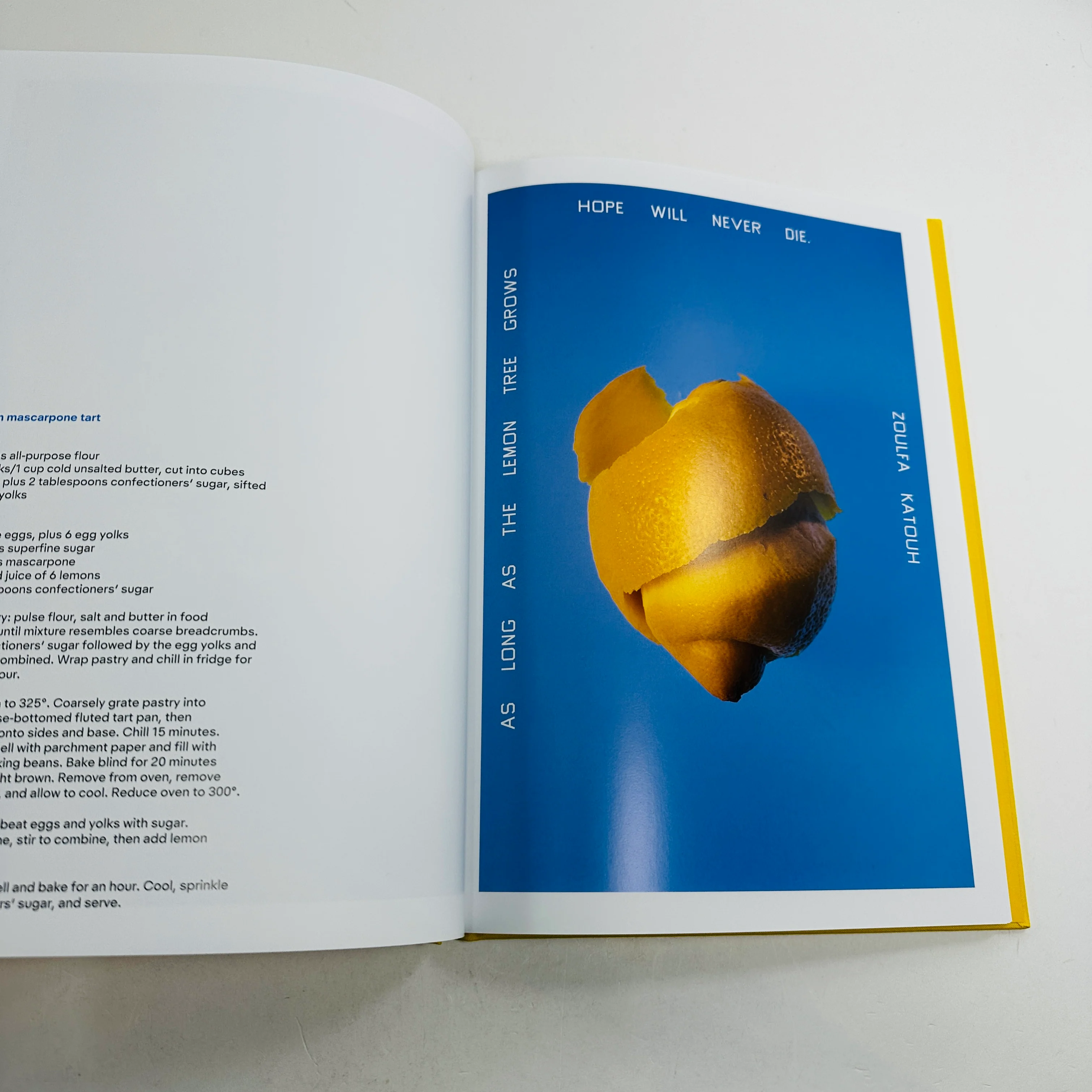 Squeeze Me - Lemons, Recipes and Art - Image 3