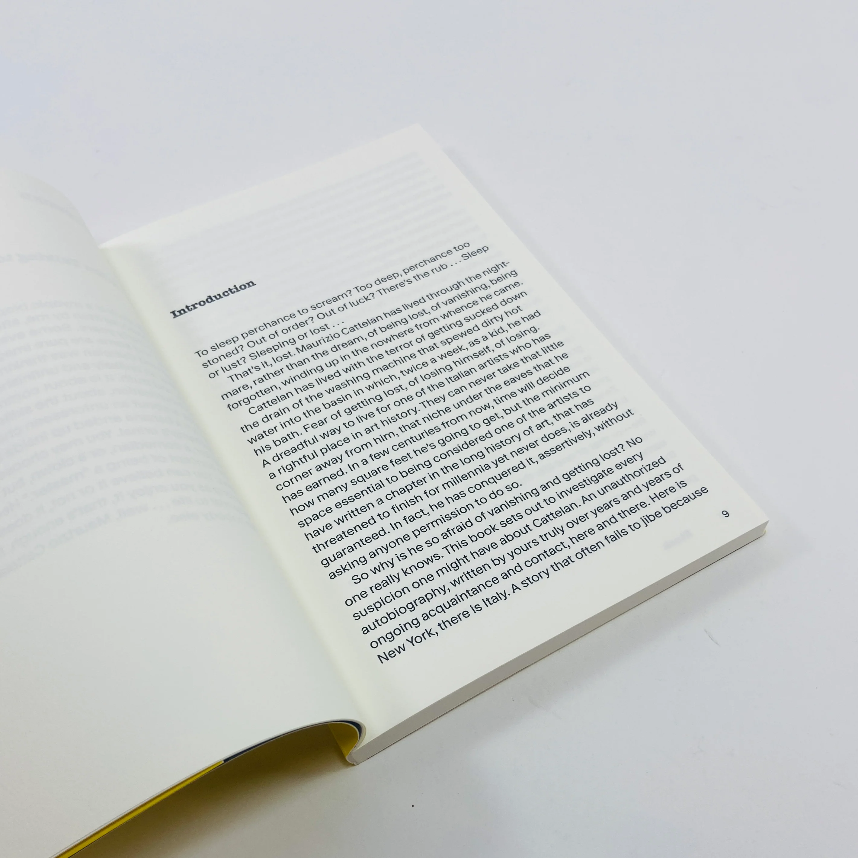 Stuck - Maurizio Cattelan - The Unauthorised Autobiography - Image 3