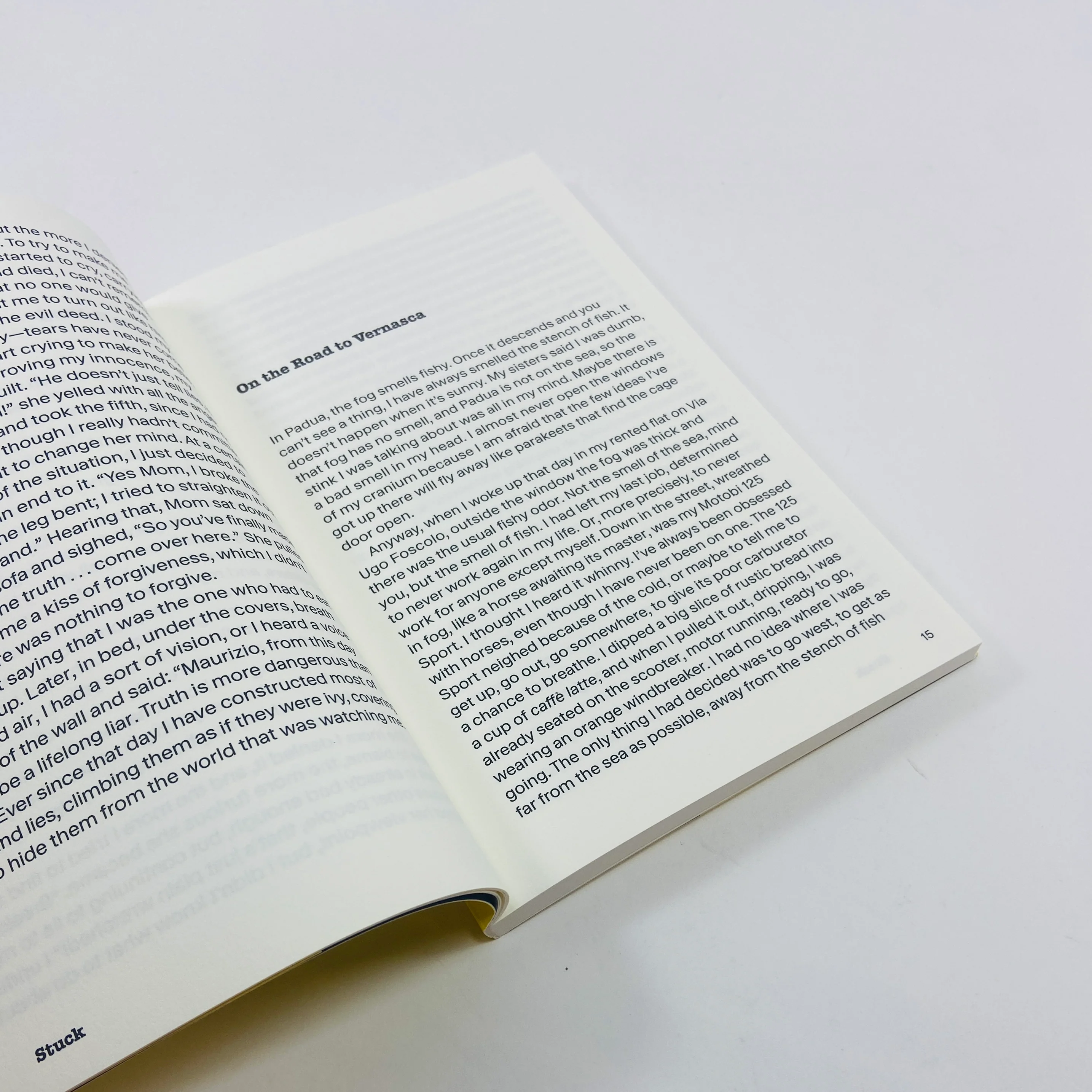 Stuck - Maurizio Cattelan - The Unauthorised Autobiography - Image 4