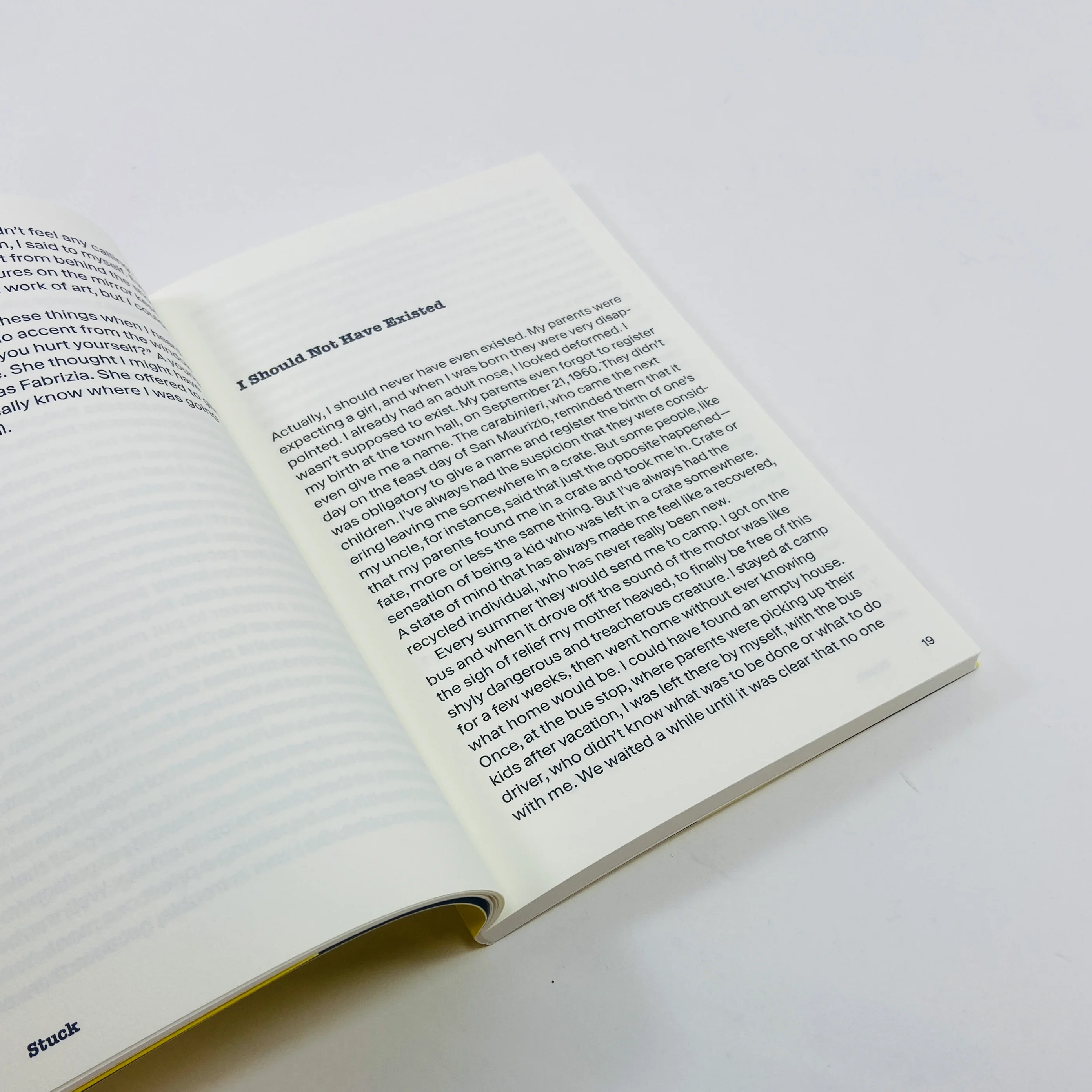 Stuck - Maurizio Cattelan - The Unauthorised Autobiography - Image 5