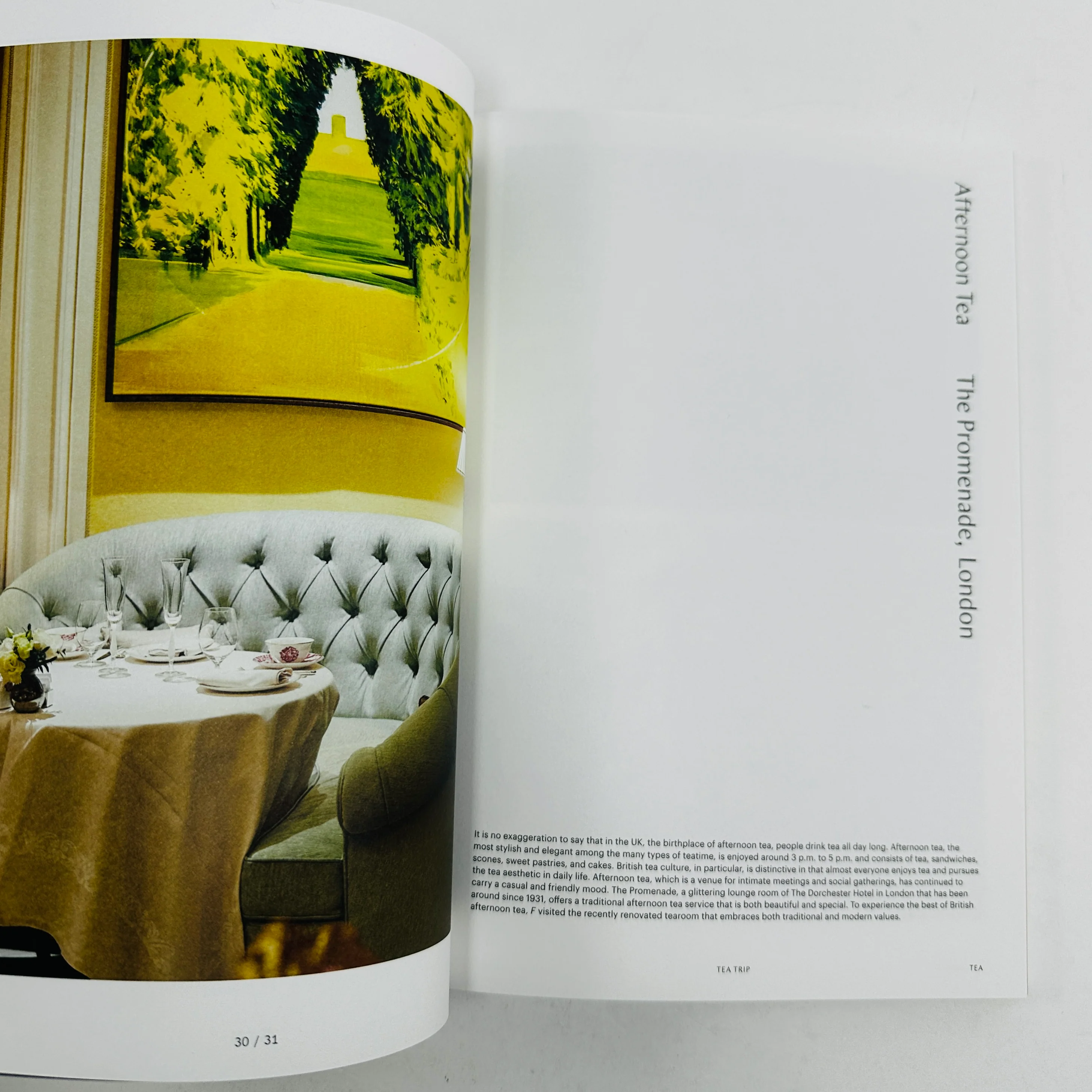 F Magazine #25 - Tea - Image 3