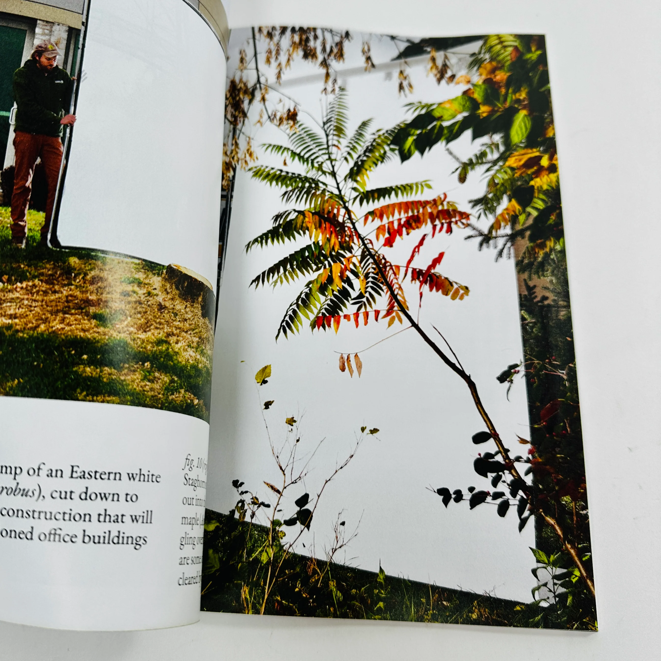 The Baffler #82 - Image 5