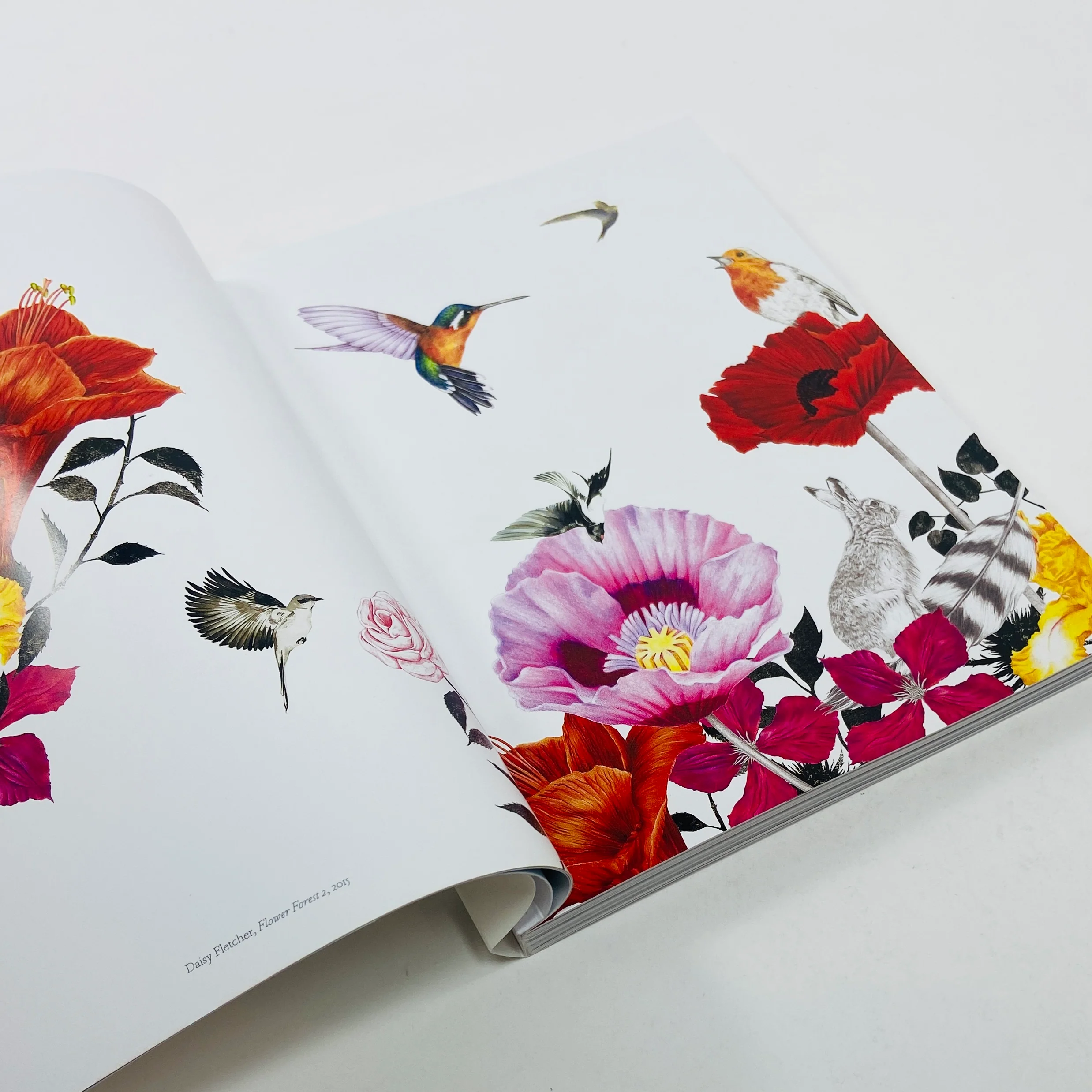 The Book of the Bird - Birds in Art - Image 3