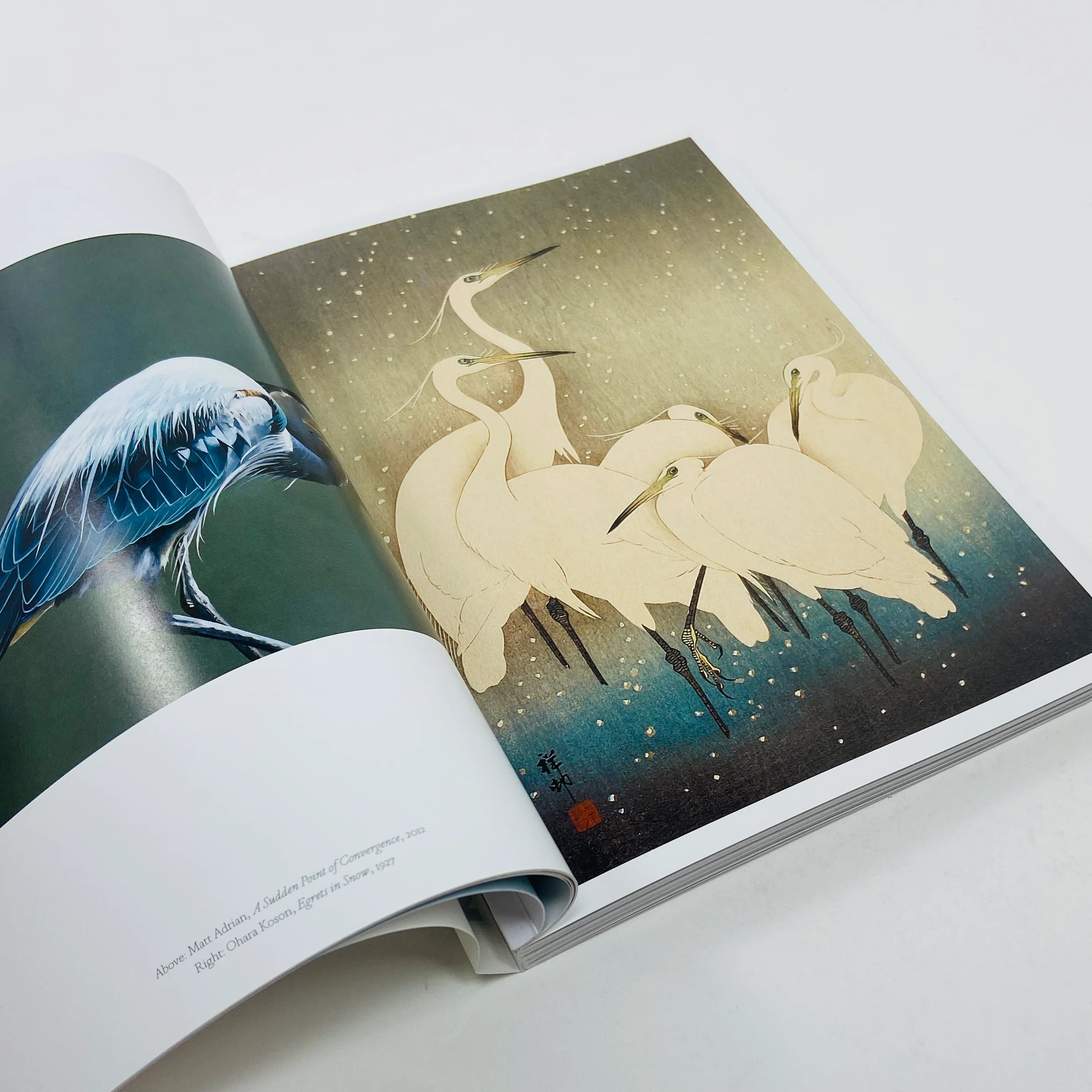 The Book of the Bird - Birds in Art - Image 4