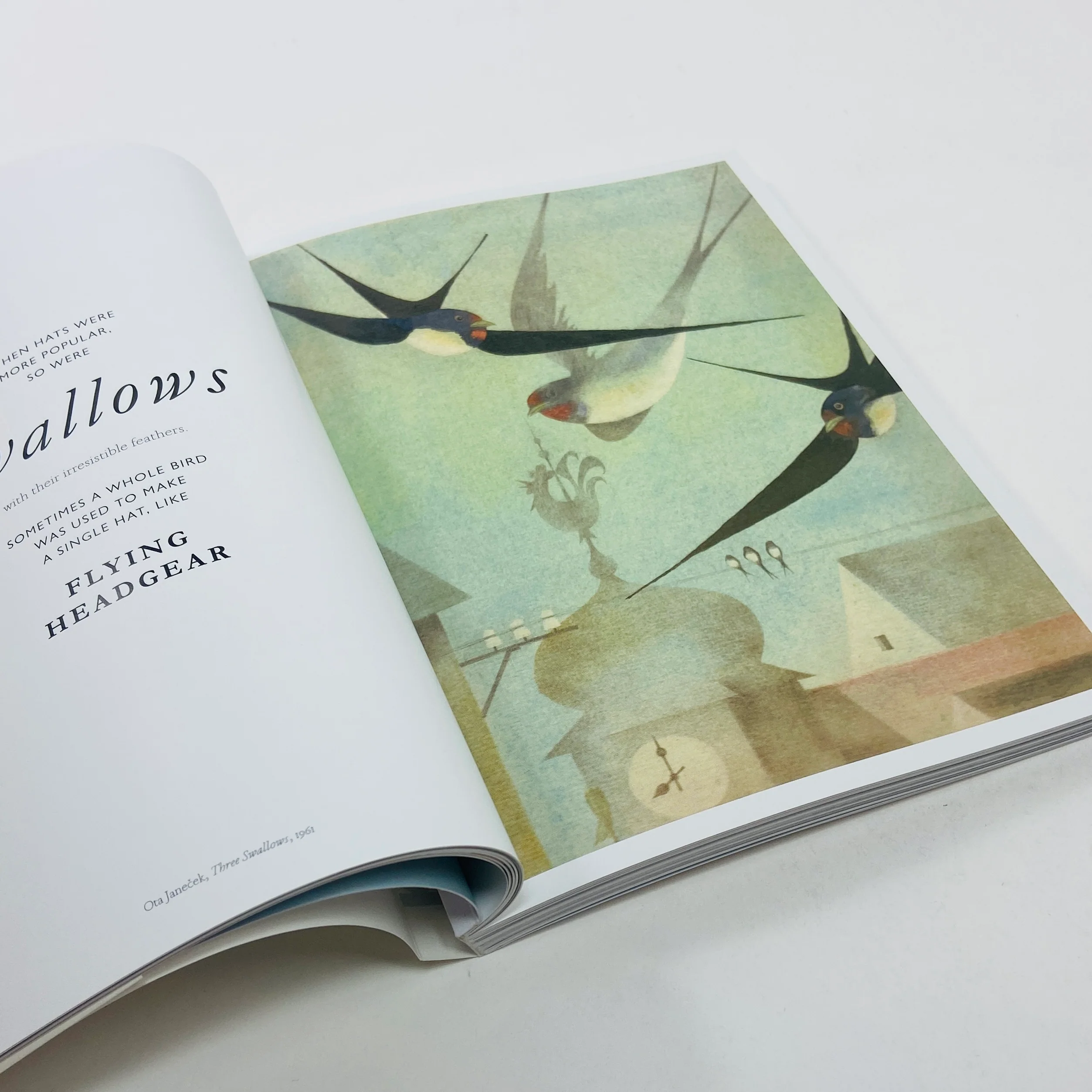 The Book of the Bird - Birds in Art - Image 6