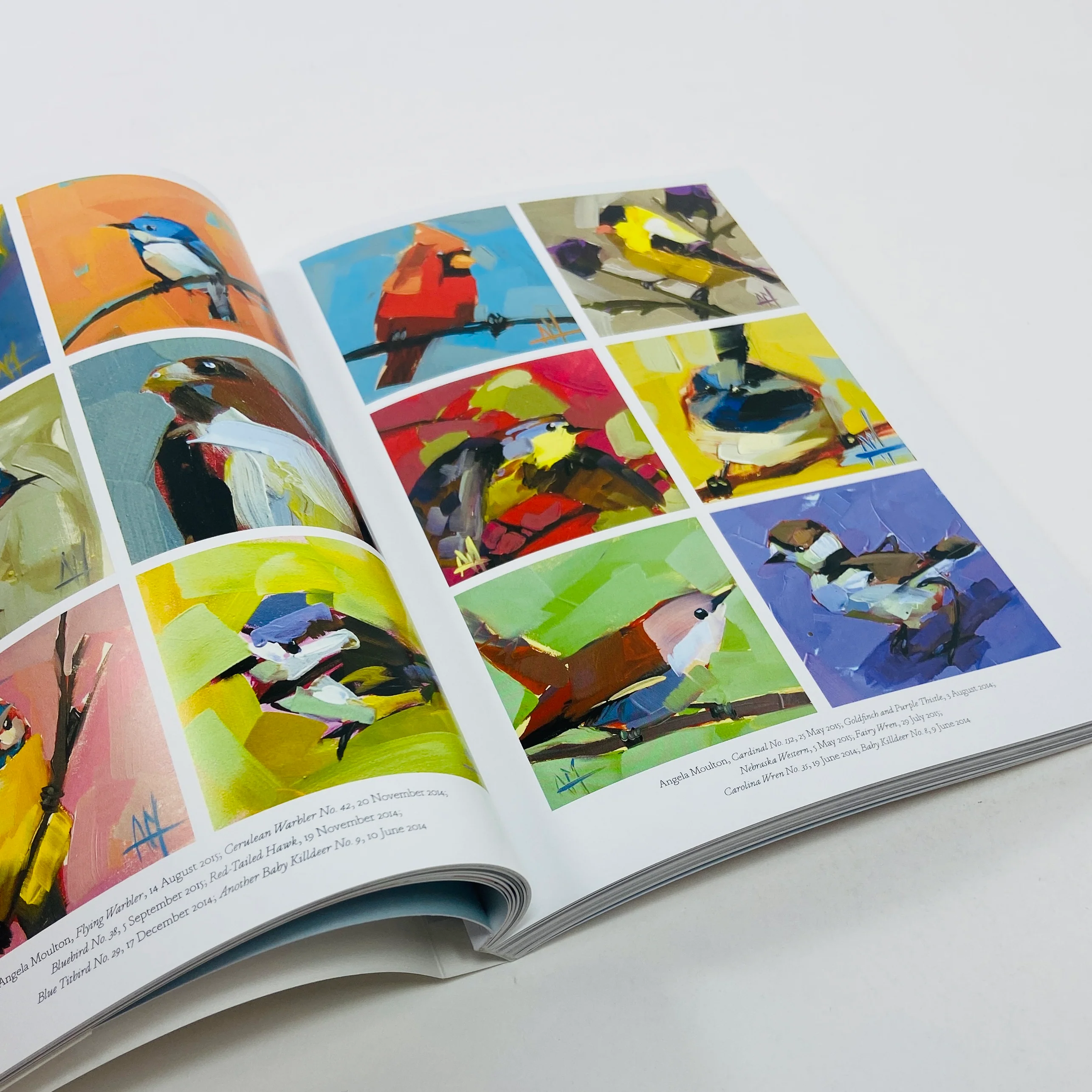 The Book of the Bird - Birds in Art - Image 7