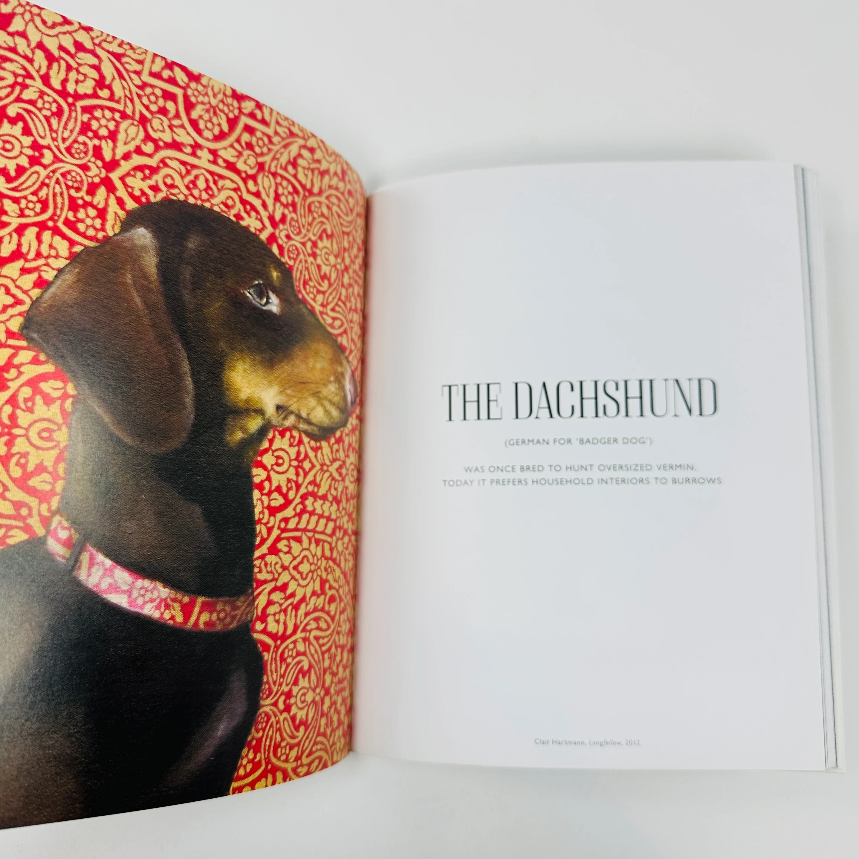 The Book of the Dog - Dogs in Art - Image 2