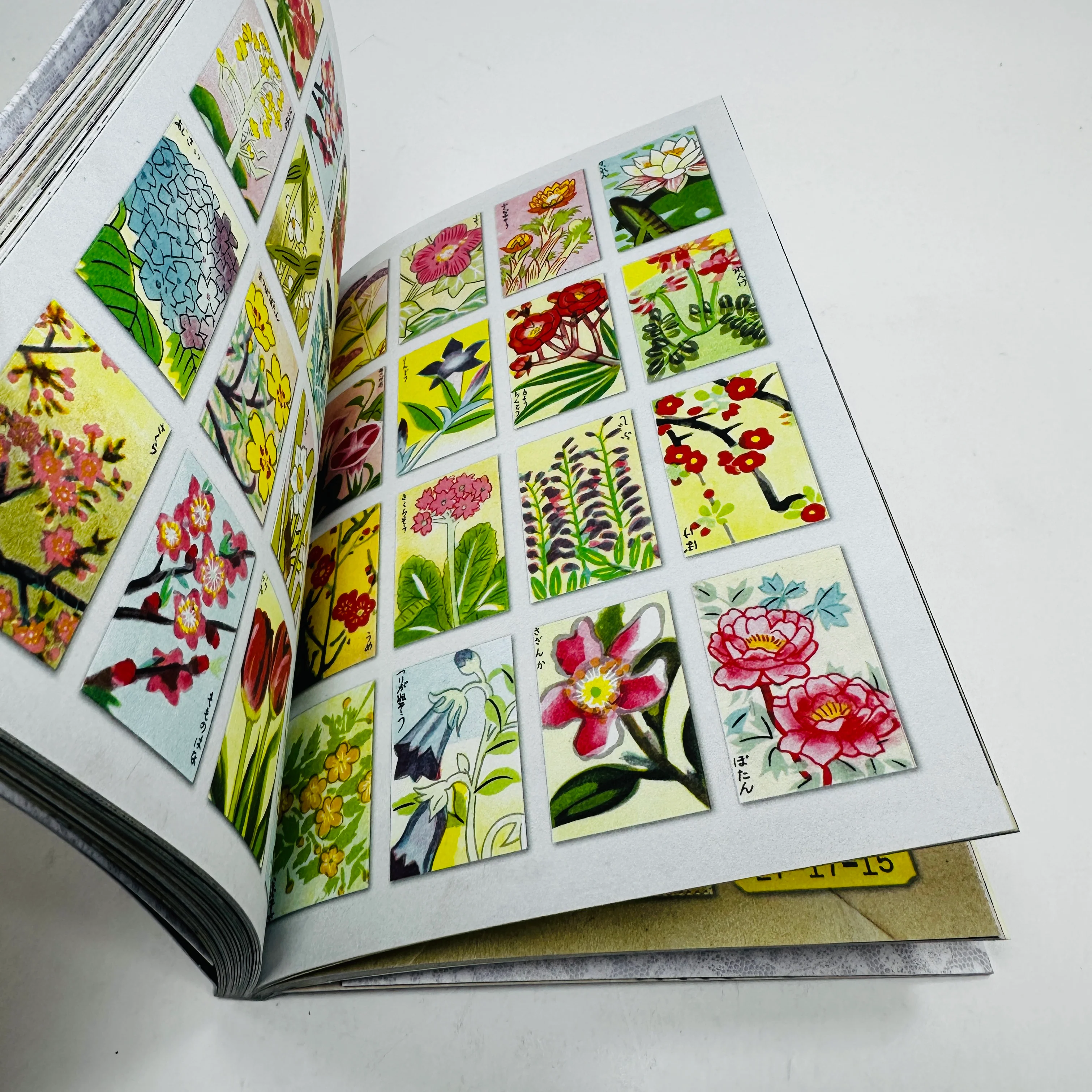 The Curious Collections Sticker Book - Image 4
