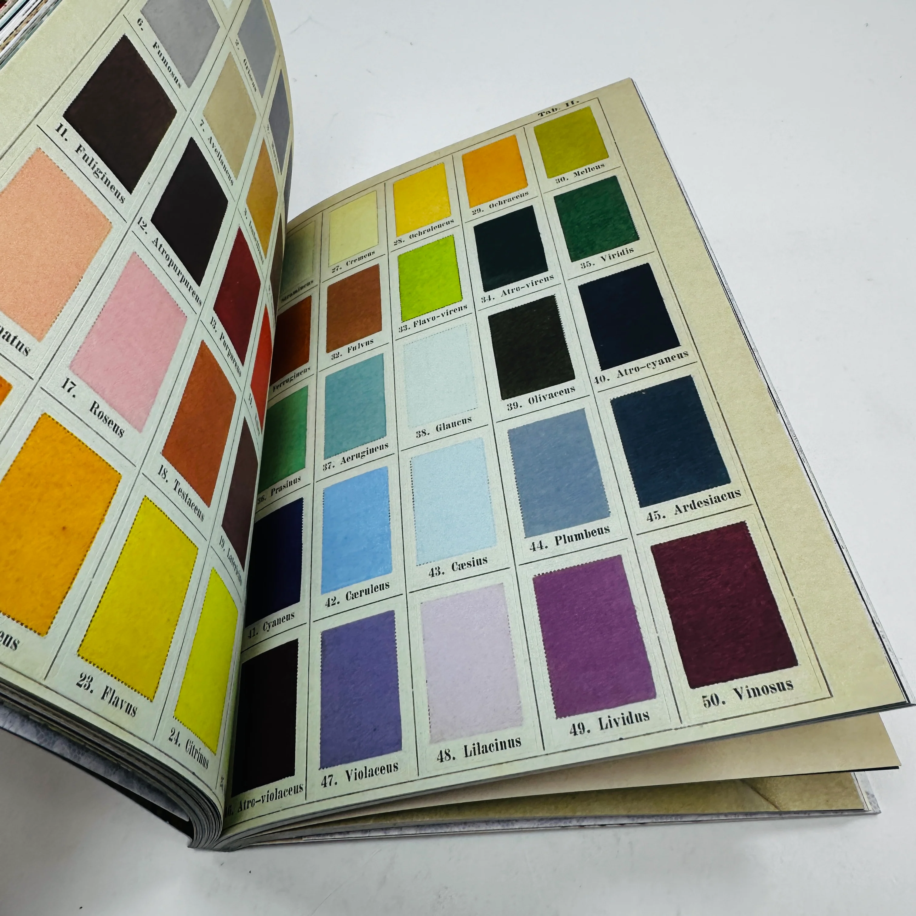 The Curious Collections Sticker Book - Image 5