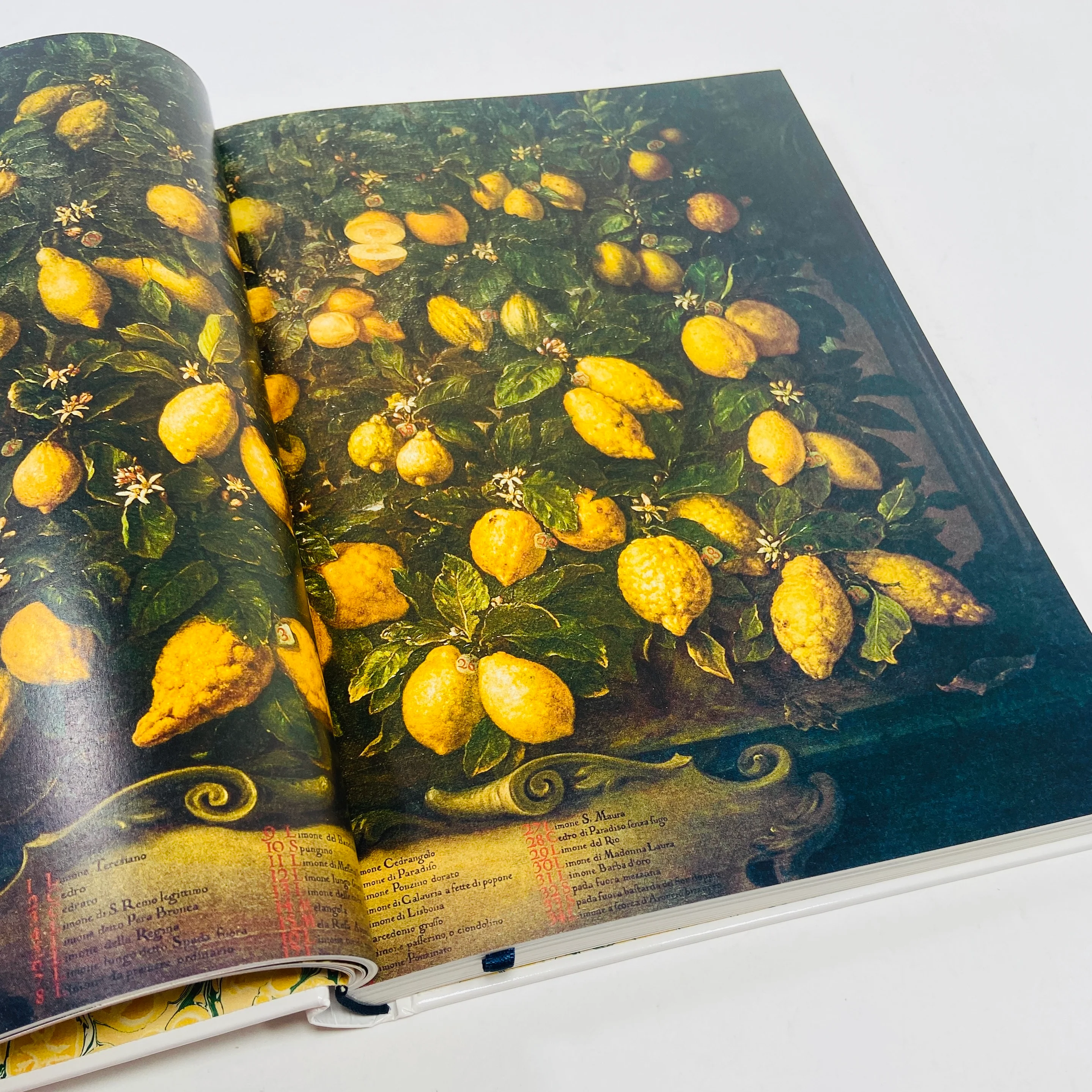 The Gourmand - Lemon Book - Image 4
