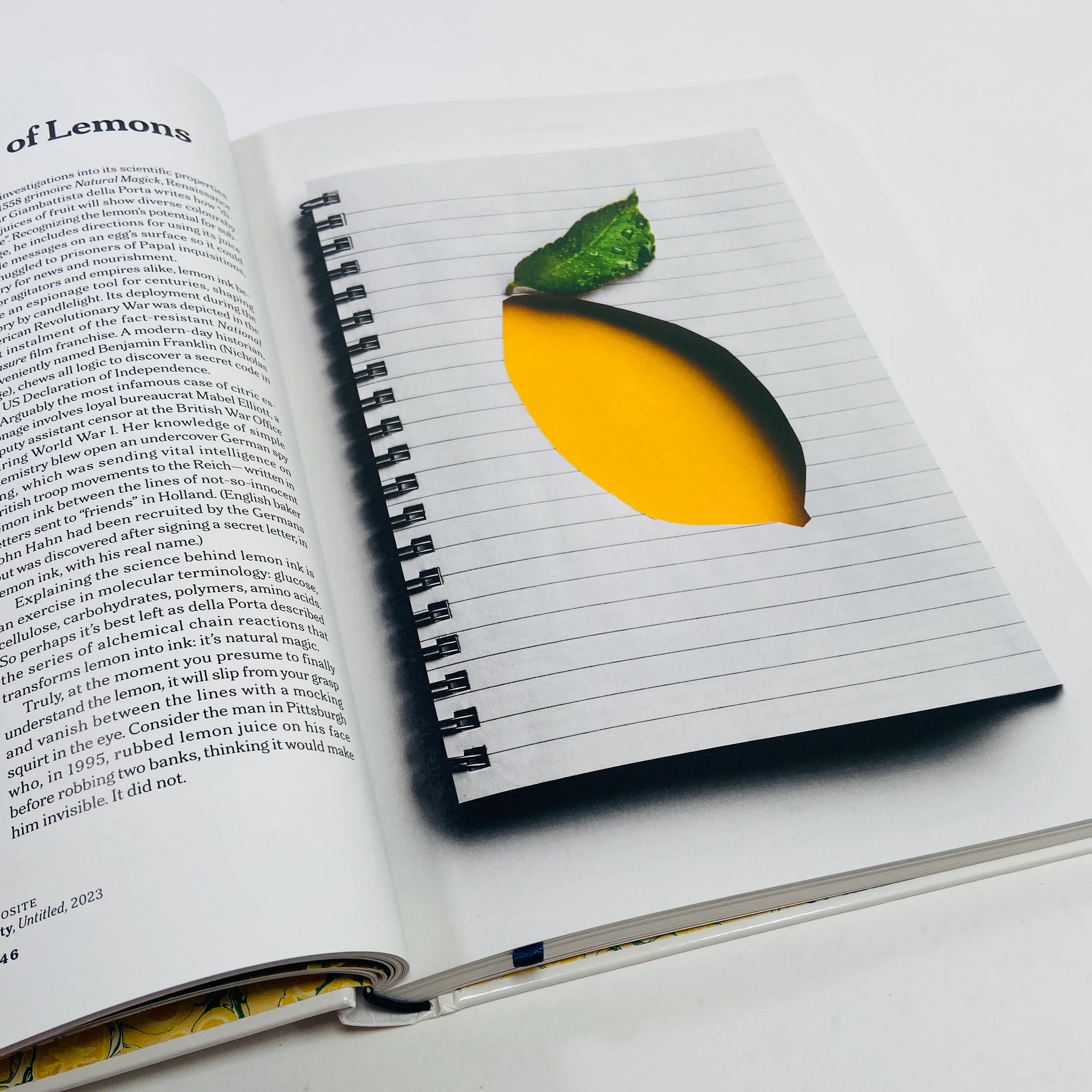The Gourmand - Lemon Book - Image 5