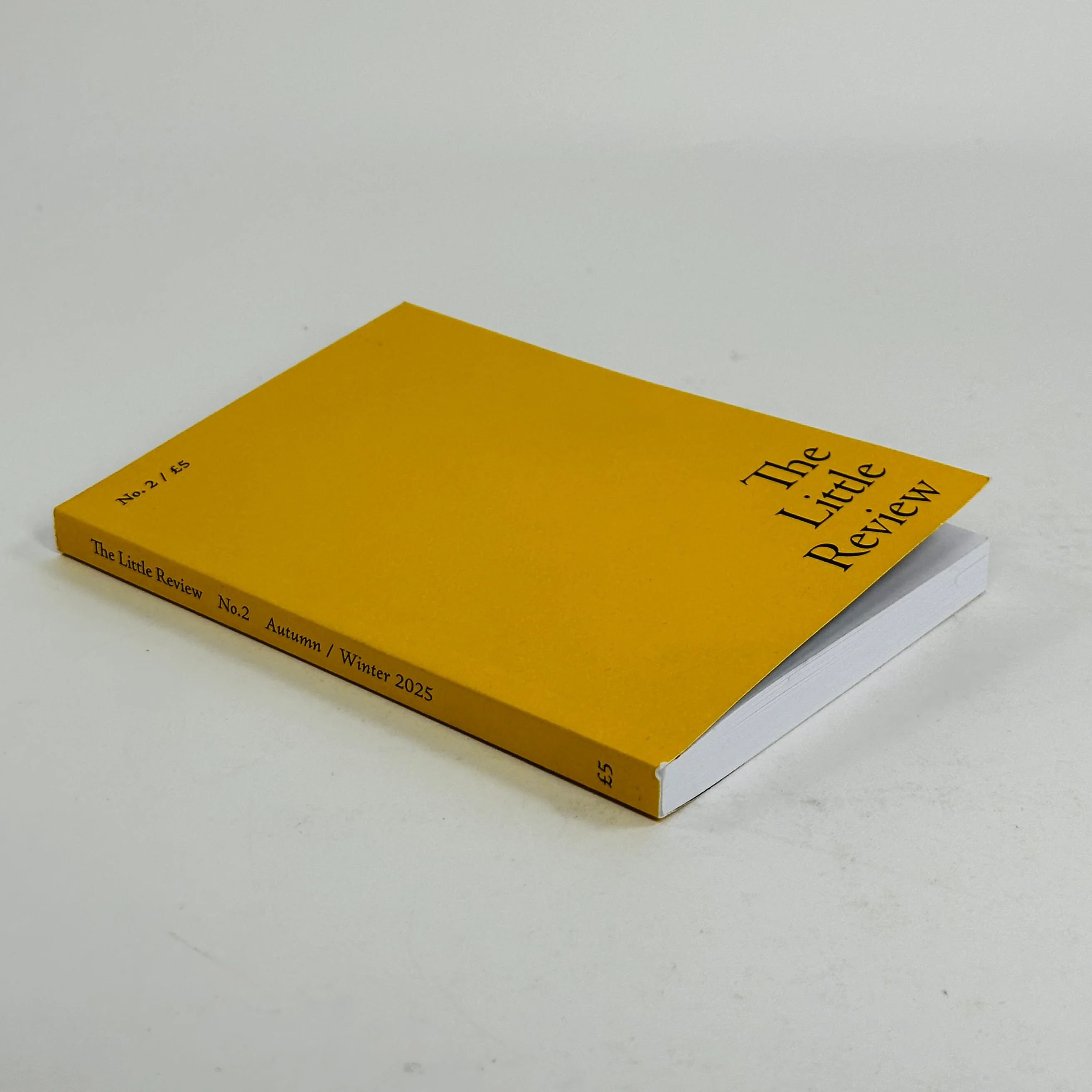 The Little Review #2- Autumn/Winter 2025 - Image 2