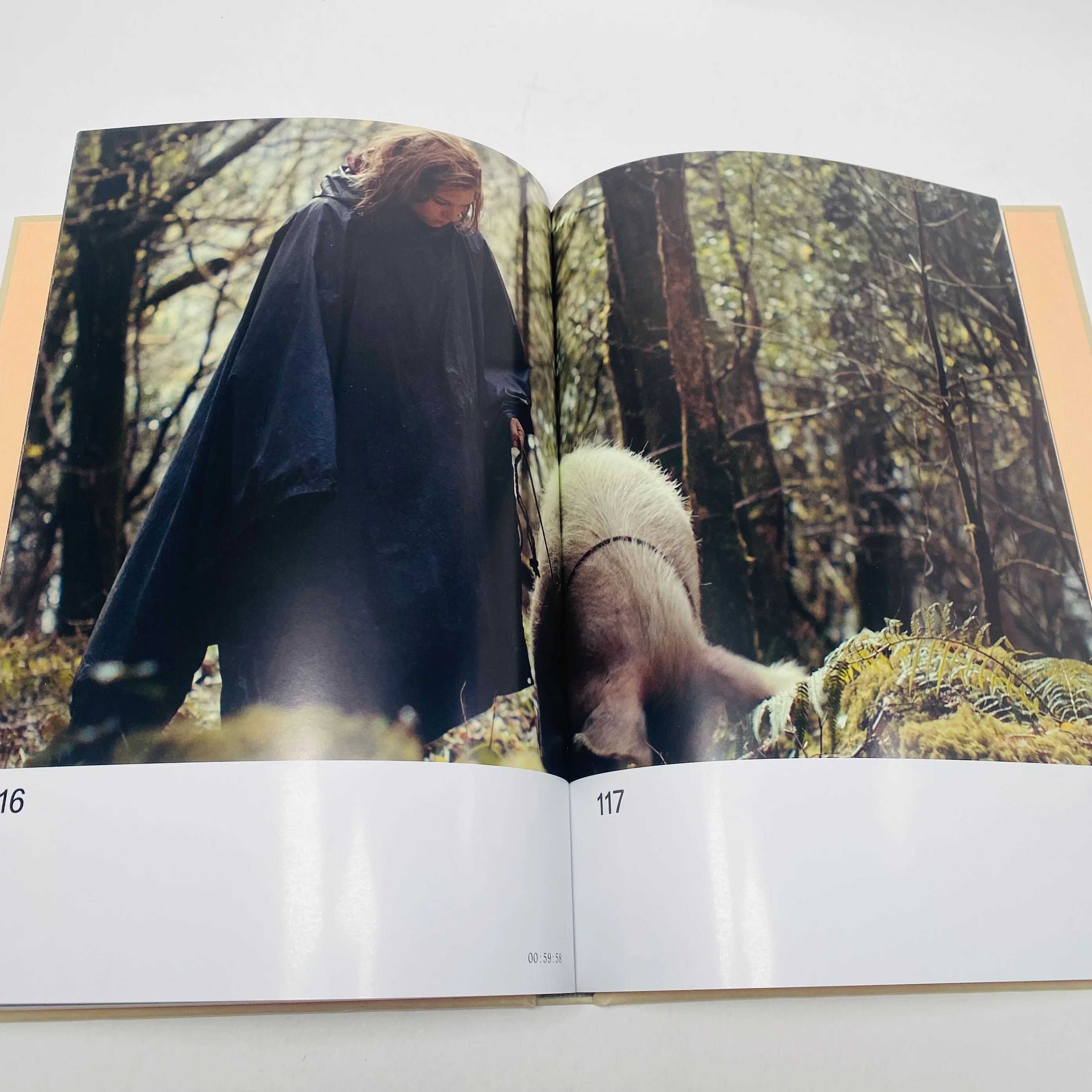 The Lobster Screenplay Book - Image 5