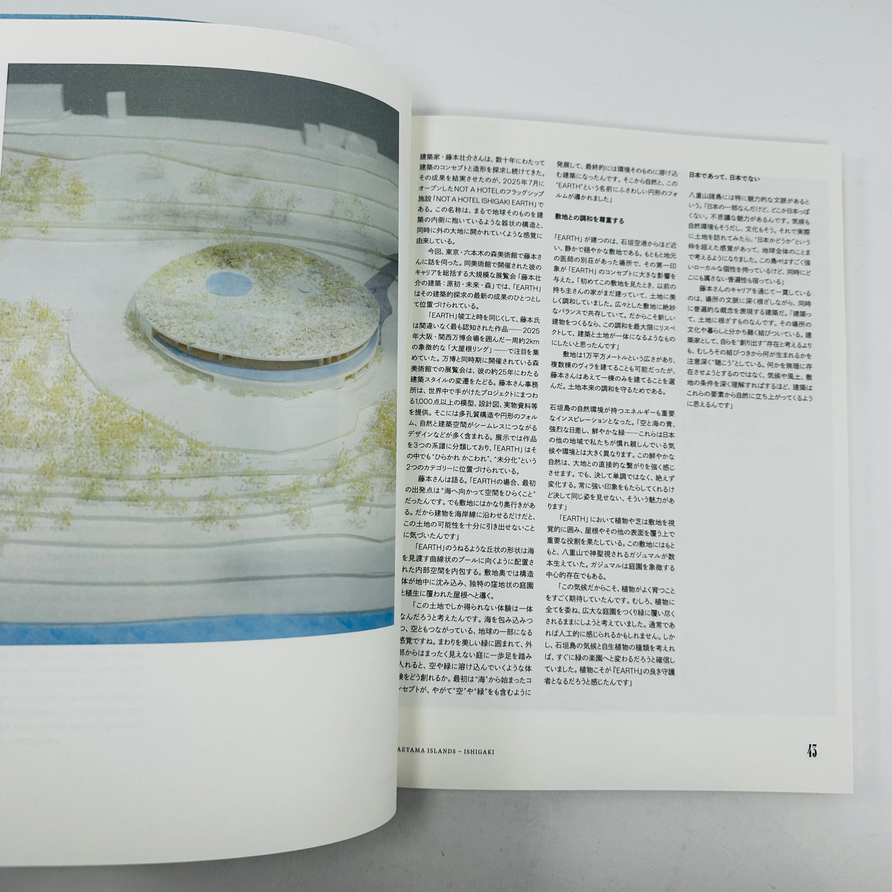 The New Japan #1 - Yaeyama Islands - Image 3