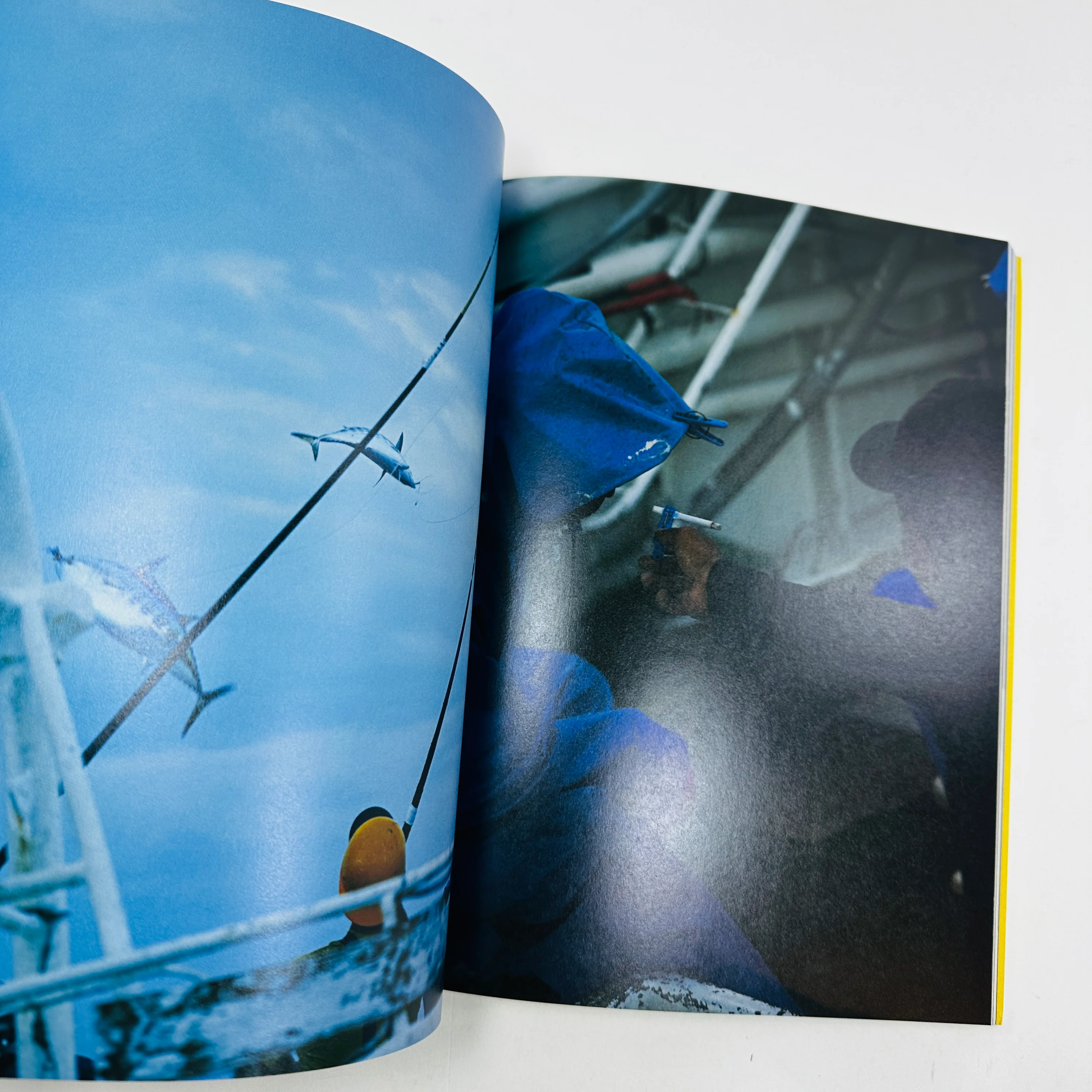 The New Japan #1 - Yaeyama Islands - Image 5