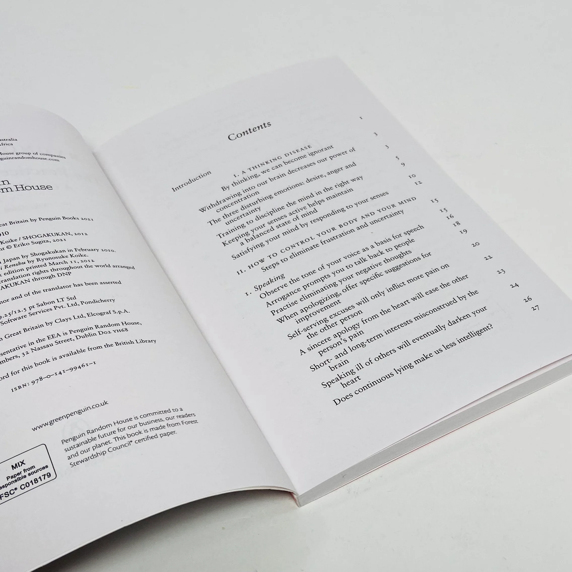 The Practice of Not Thinking - Ryunosuke Koike - Image 3