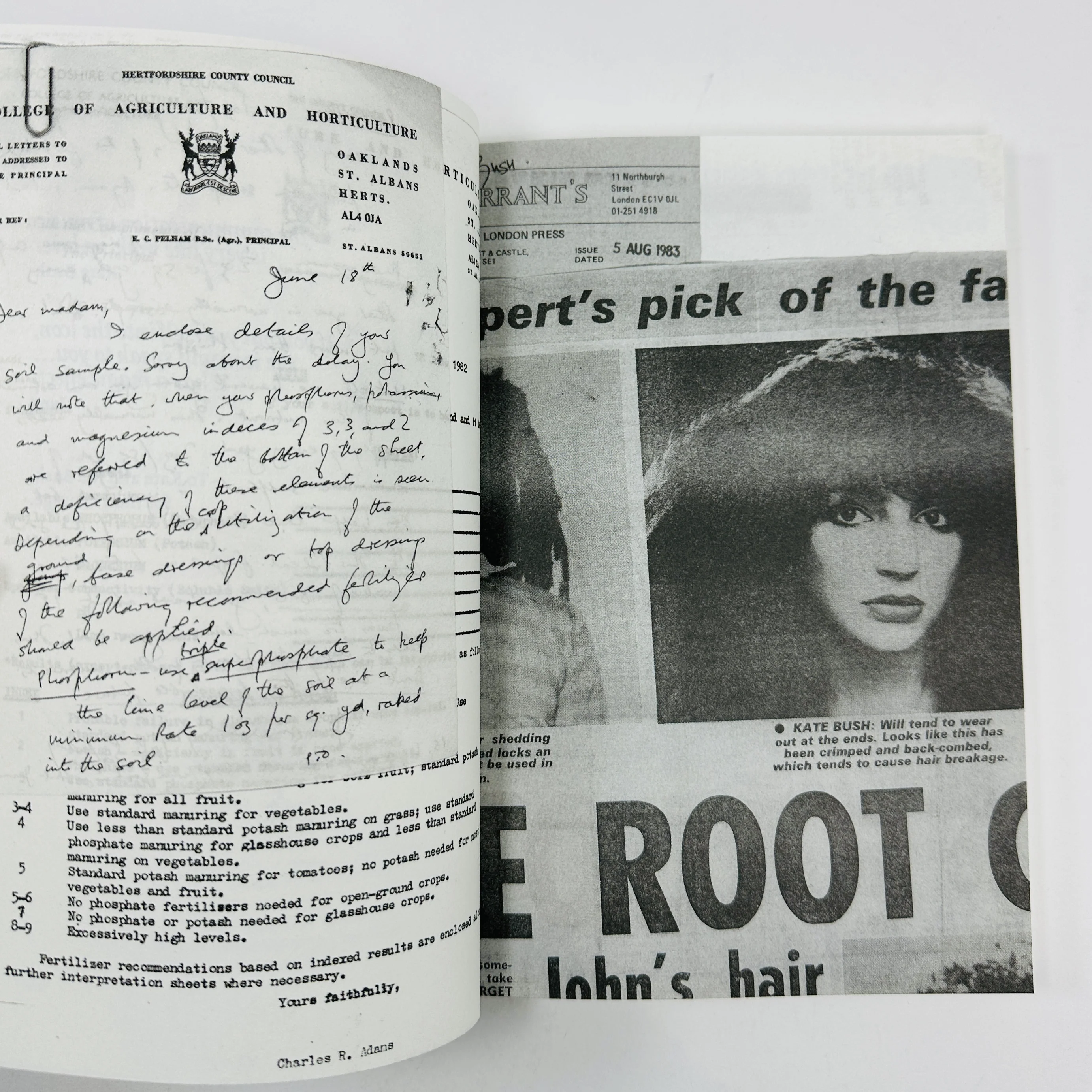 The Secret History Of Kate Bush (And The Strange Art Of Pop) - Image 4