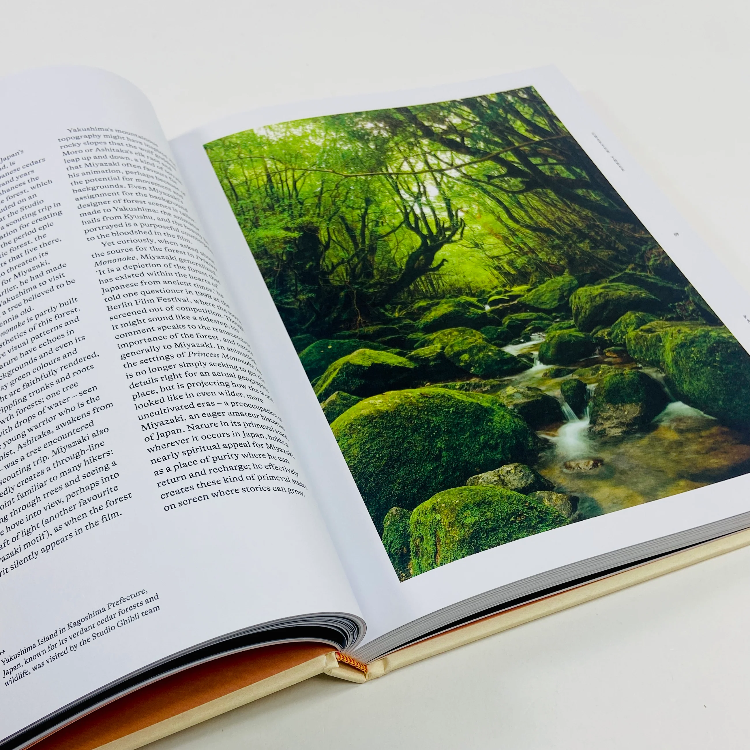 The Worlds of Hayao Miyazaki - The Influences and Inspiration Behind the Iconic Films - Image 7