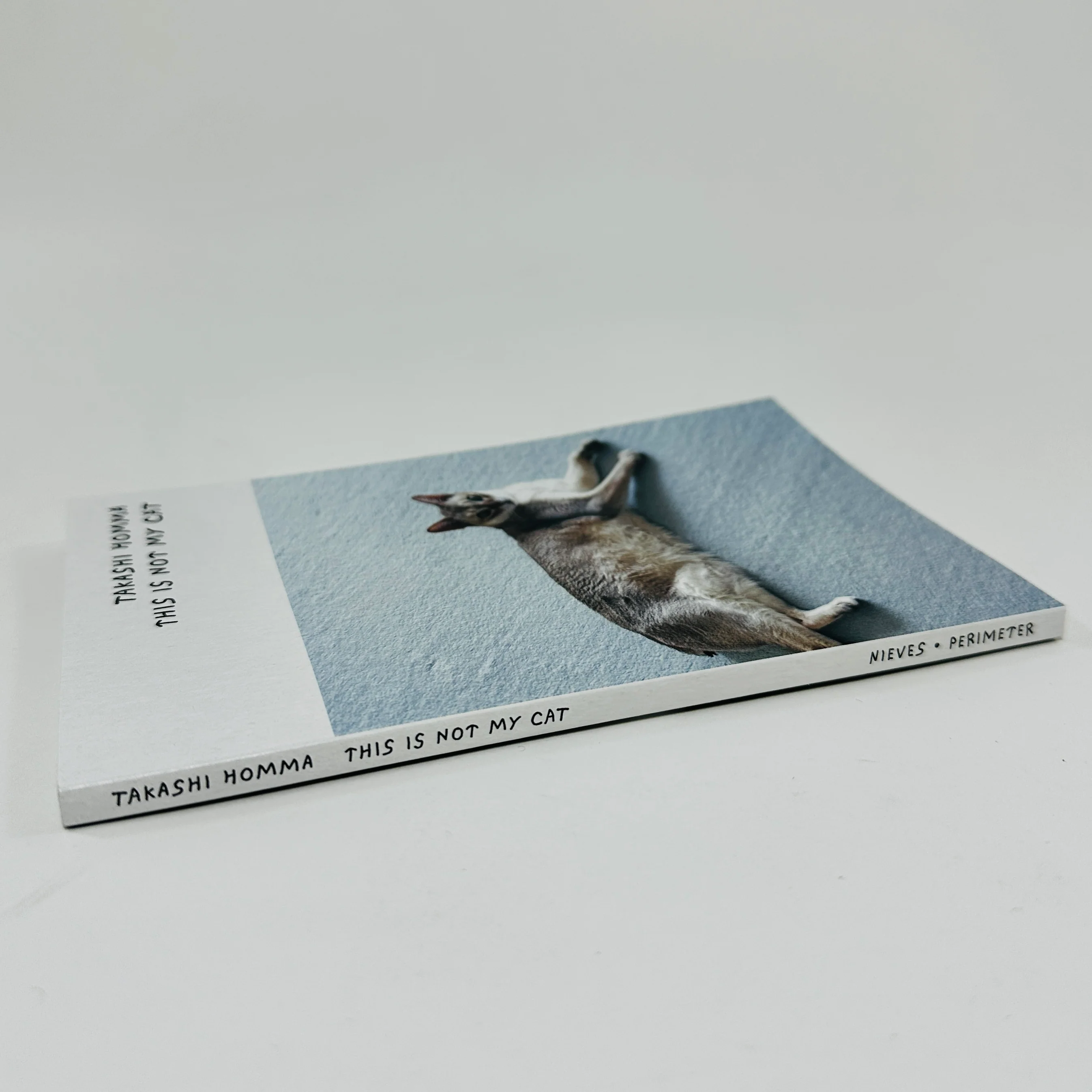 This Is Not My Cat - Takashi Homma - Image 2