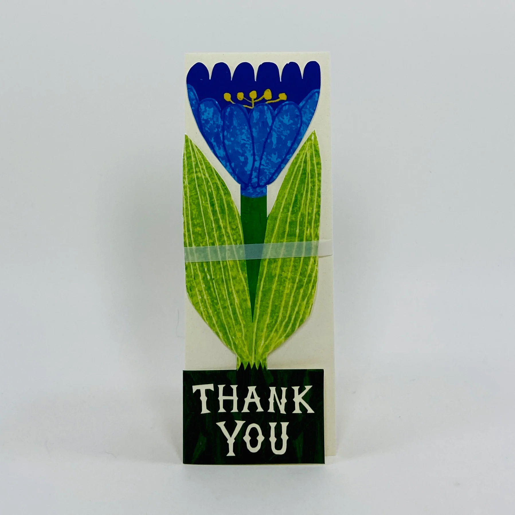 Tulip, Thank You - Hadley Card