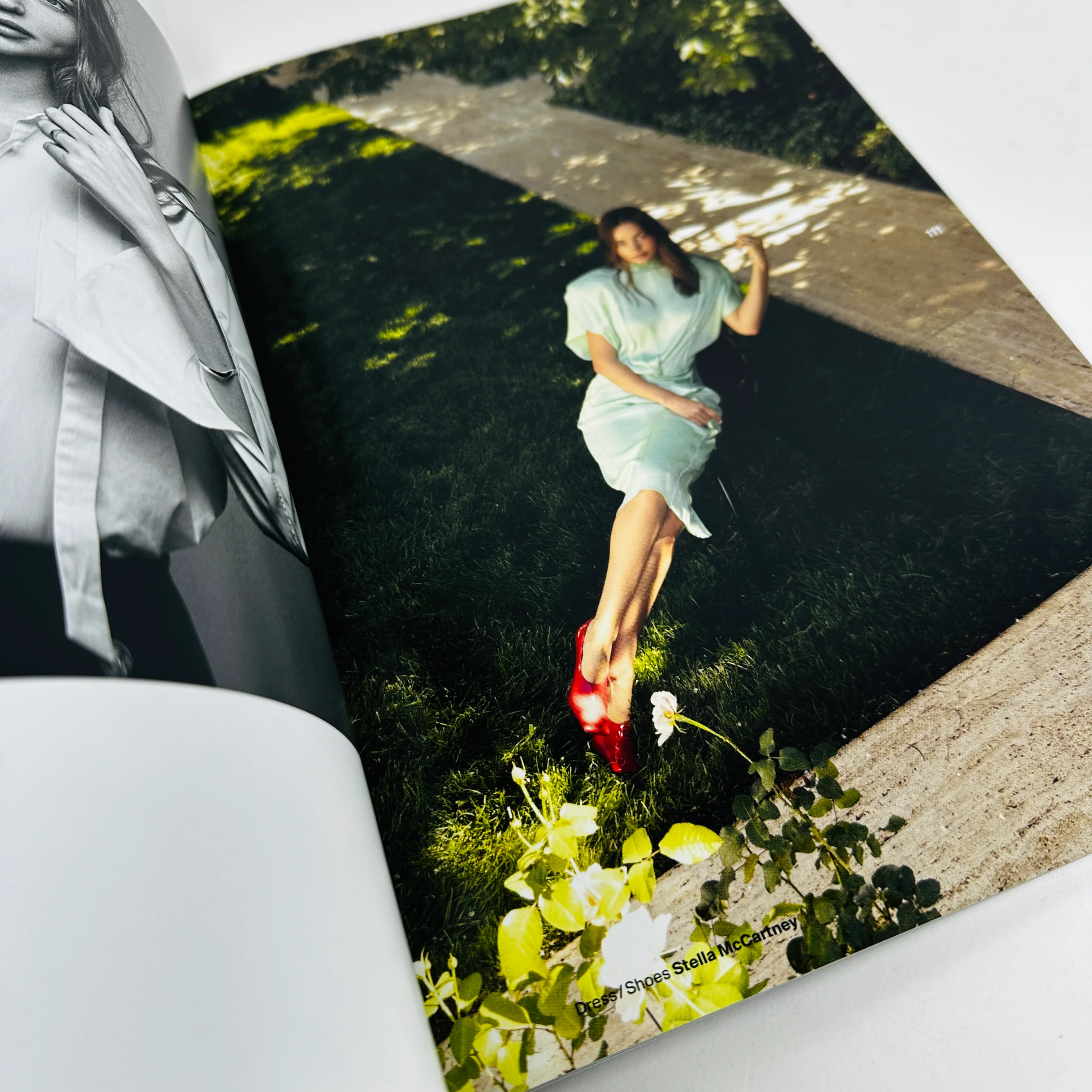 Twin #33 - Image 6
