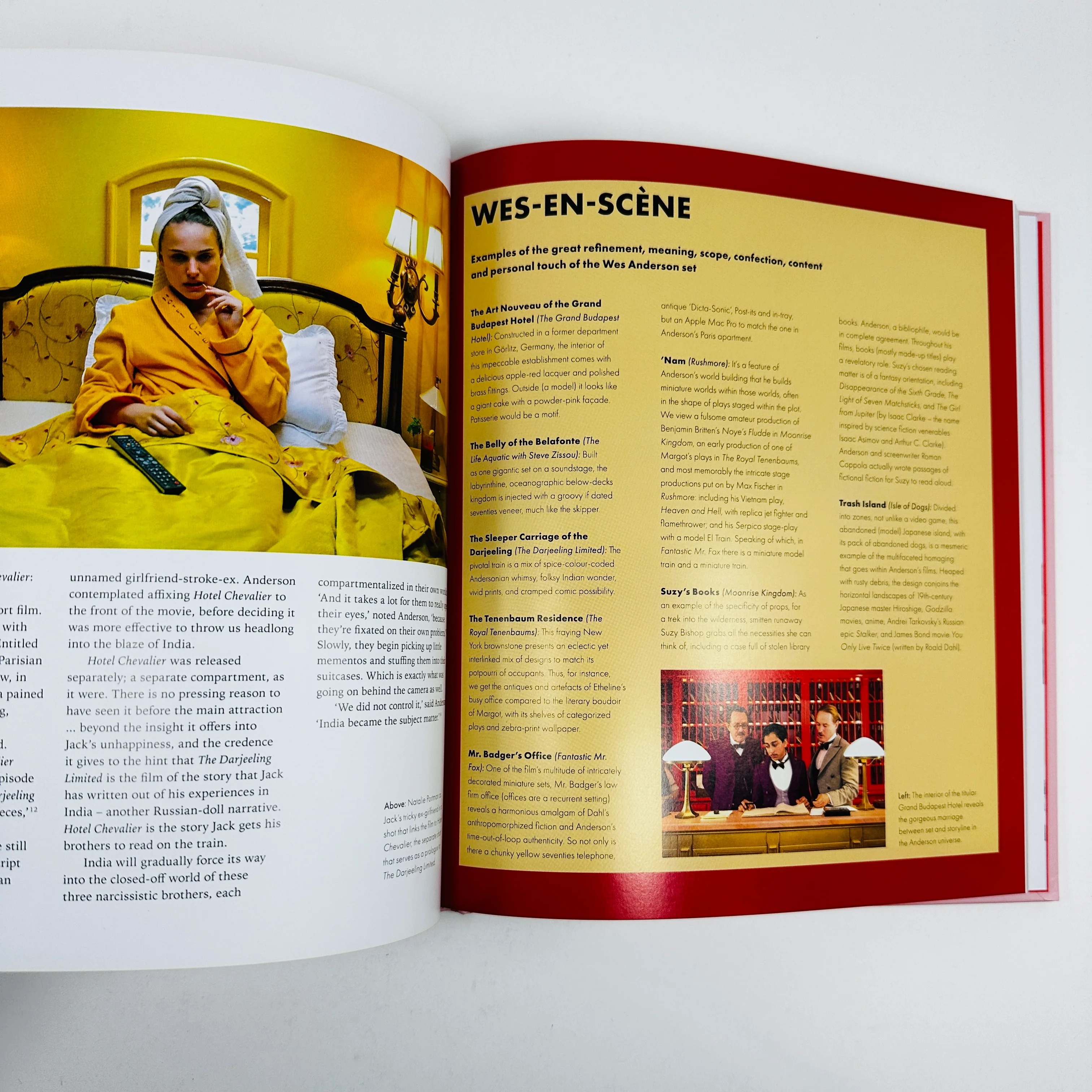 Wes Anderson - The Iconic Filmmaker and His Work - Image 5
