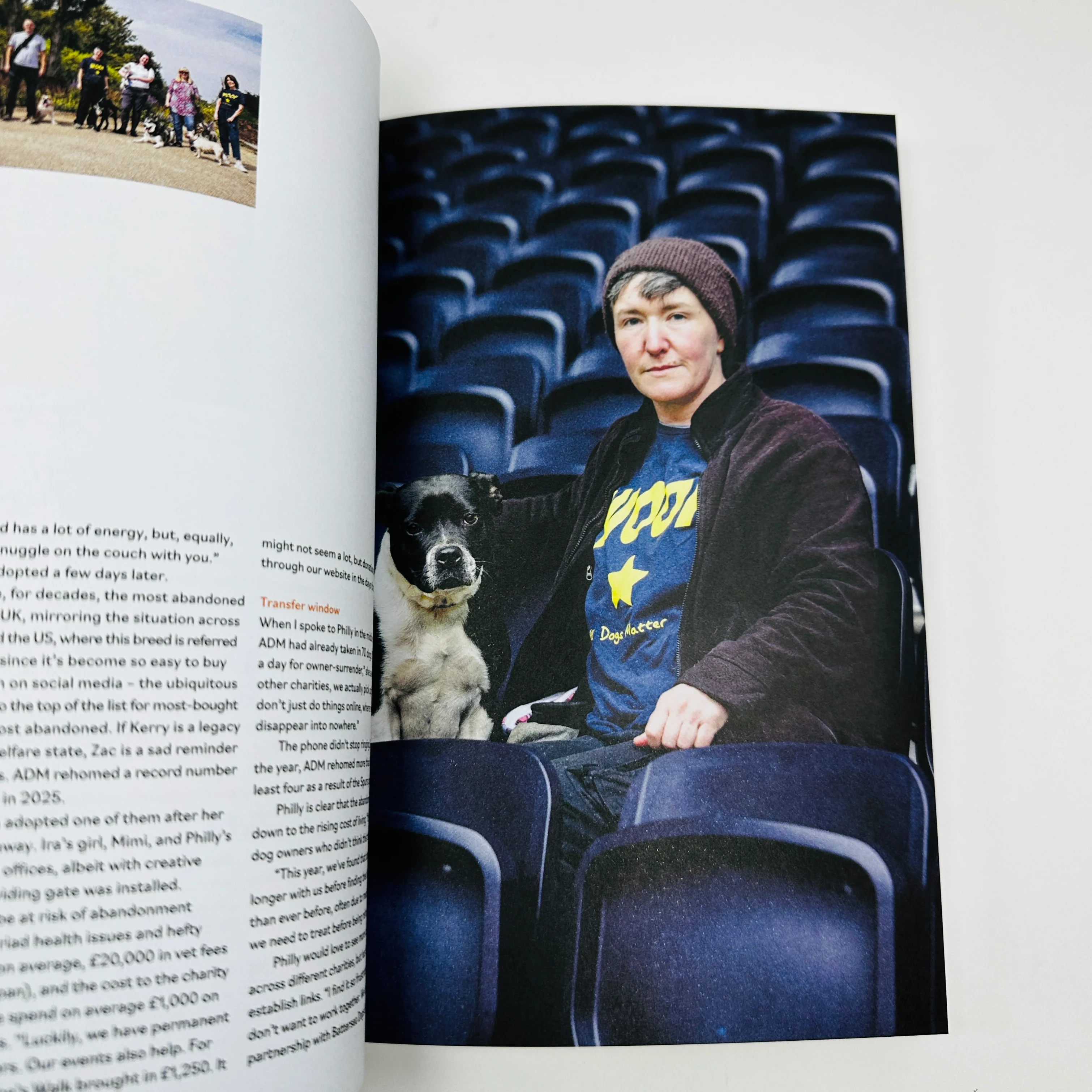 Wunderdog #10 - Image 4